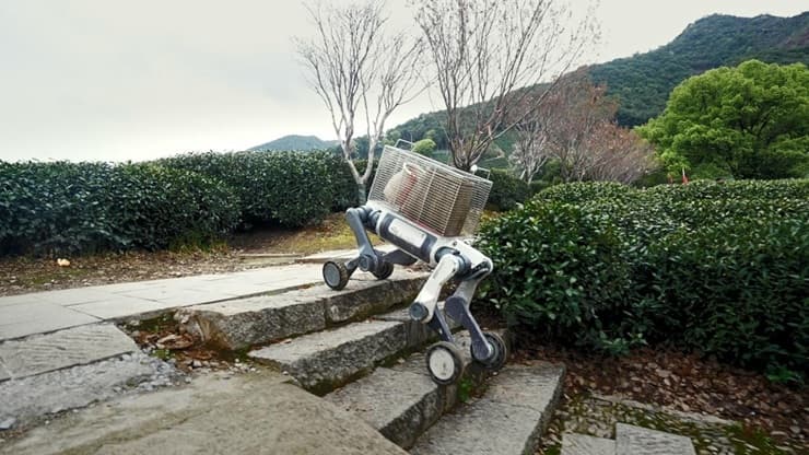 Vierbeiniger Roboter mit Radbeinen steigt eine Steintreppe hinauf (Symbolbild, Quelle: The Robot Report)